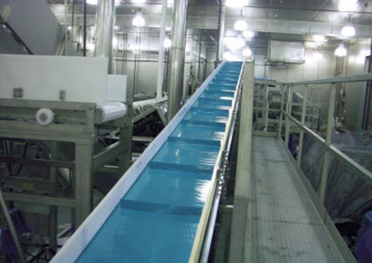 Metal Detectable Homogeneous Belts