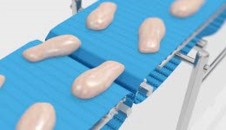 Transportbanden voor de Vlees, Pluimvee en Vis industrie - uni UCB