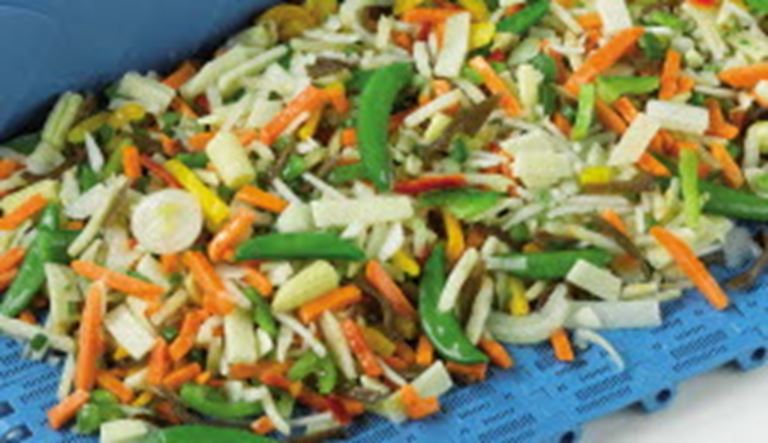 Transportbanden voor de Agri & Foodprocessing - Blancheren, drogen en bakken