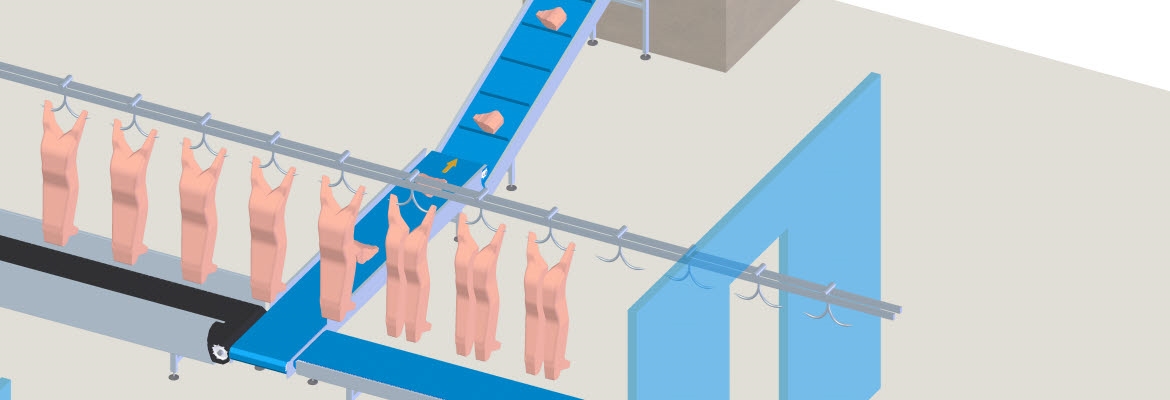 Po czyszczeniu, zwierzę jest przenoszone do czystej linii ubojowej, na której usuwane są organy.