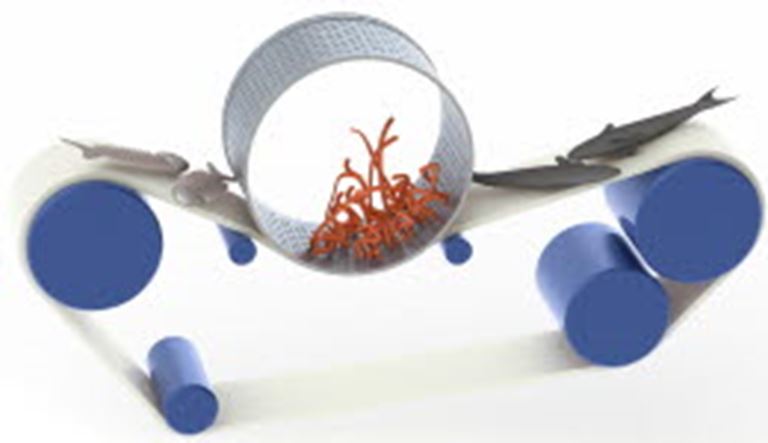 New Amsqueeze Separator Belt